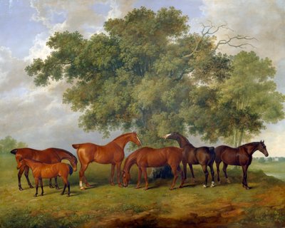 द थोबाल्ड स्टड, 1825 द्वारा जेम्स बारगेनर