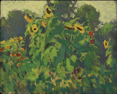सूरजमुखी, थोर्नहिल, 1916 (मिश्रित लकड़ी-लुगदी बोर्ड पर तेल) द्वारा James Edward Hervey Macdonald
