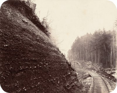 अटलांटिक और ग्रेट वेस्टर्न रेलवे, 1862। द्वारा जेम्स फिट्ज़लेन राइडर