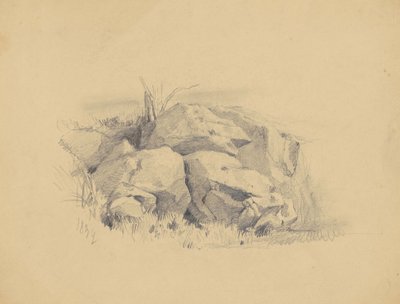 रॉक्स, 1839 (विंग पेपर पर ग्रेफाइट) द्वारा जेम्स गुडविन क्लोननी