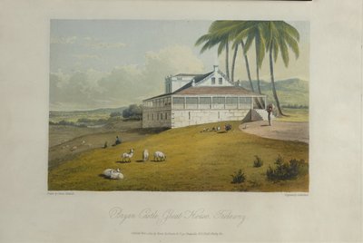  द्वारा जेम्स हकीविल