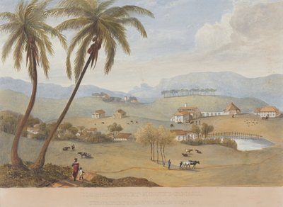  द्वारा जेम्स हकीविल