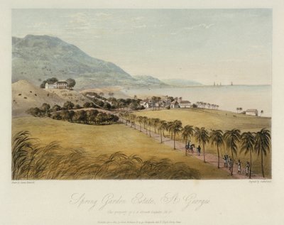  द्वारा जेम्स हकीविल
