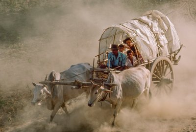  द्वारा जेम्स एल स्टैनफील्ड