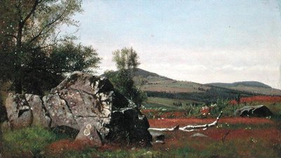 Catskills में गर्मी (कैनवास पर तेल) द्वारा जेम्स मैकडॉगल हार्ट