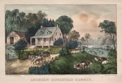 अमेरिकन होमस्टेड, समर, 1869। द्वारा जेम्स मेरिट इवेस