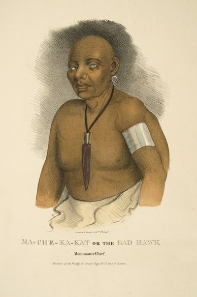 Ma-che-ka-kat or the Bad Hawk द्वारा जेम्स ओटो लुईस