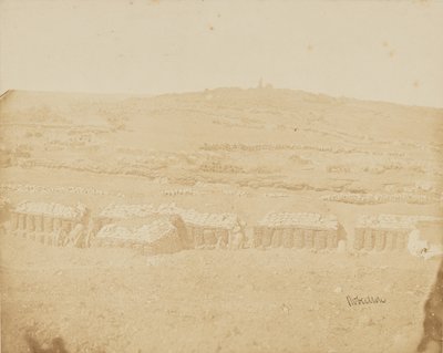  द्वारा जेम्स रॉबर्टसन