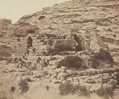  द्वारा जेम्स रॉबर्टसन
