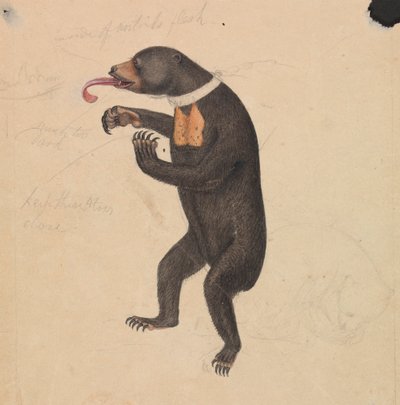  द्वारा जेम्स सोवरबी