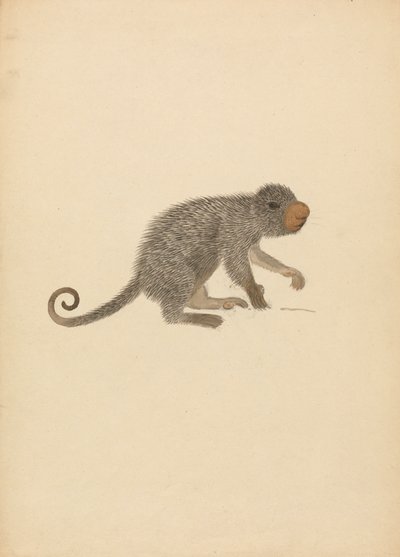  द्वारा जेम्स सोवरबी