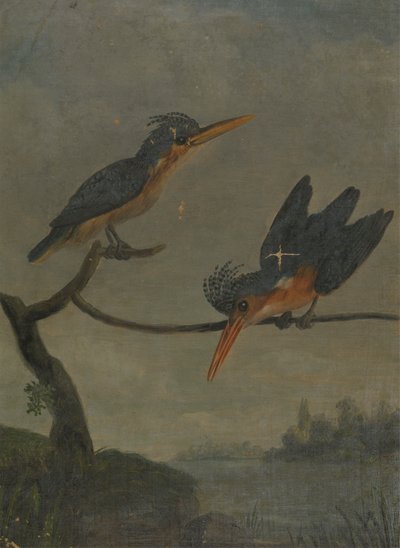  द्वारा जेम्स सोवरबी