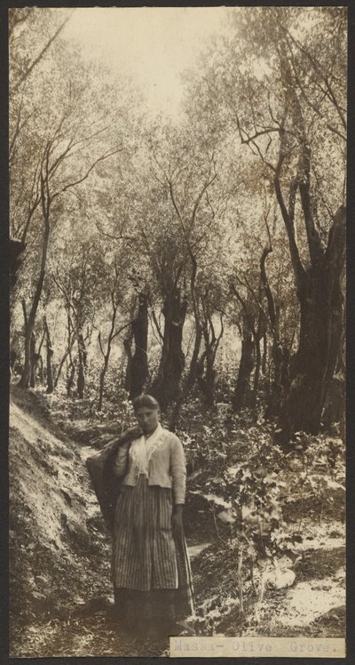 द्वारा जेम्स डब्ल्यू. होलकोम्ब