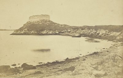 फोर्ट डंपलिंग्स, 185974। द्वारा जेम्स वालेस ब्लैक