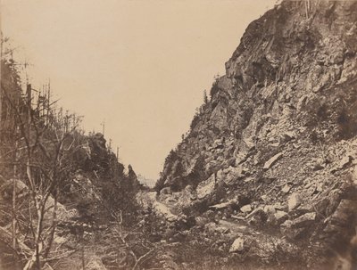 व्हाइट माउंटेन पायदान के प्रमुख, क्रॉफर्ड हाउस, 1854। द्वारा जेम्स वालेस ब्लैक