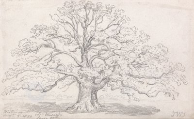 मिस्टर हॉवर्ड की लार्ज ओक, 5 अगस्त, 1820 द्वारा जेम्स वार्ड
