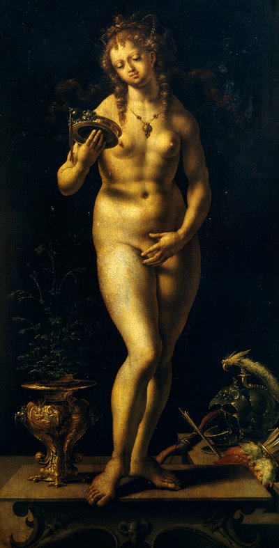 शुक्र (पैनल पर तेल) द्वारा Jan (c.1472-c.1533) Gossaert