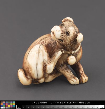 Netsuke ने अपनी गर्दन को खरोंचते हुए एक कुत्ते के रूप में मॉडलिंग की द्वारा जापानी स्कूल