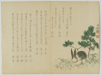 नए साल पाइन के नीचे खरगोश, c.1860 (वुडब्लॉक प्रिंट) द्वारा जापानी स्कूल