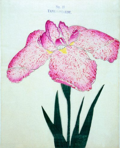 टंका-सं।-कोए, सं। 15, 1898 द्वारा Japanese School