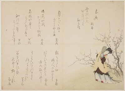 चीनी अदालत की पोशाक में महिला, c.1830-44 (फर कोट पर रंगीन वुडब्लॉक प्रिंट, करज़ुरी) द्वारा जापानी स्कूल