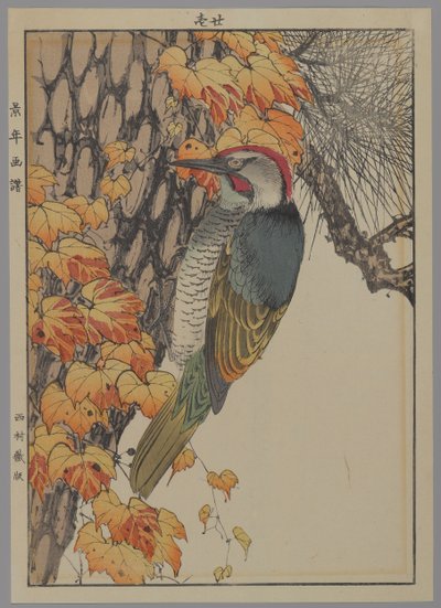 वुडपेकर, 1892 (कलर वुडब्लॉक प्रिंट) द्वारा जापानी स्कूल