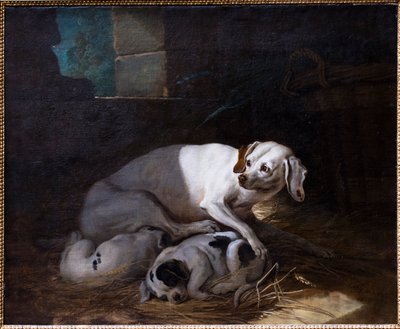  द्वारा Jean-Baptiste Oudry
