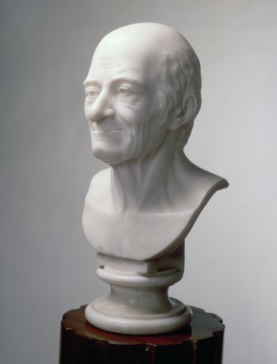 वोल्टेयर की बस्ट, c.1770 (संगमरमर) द्वारा Jean Antoine Houdon