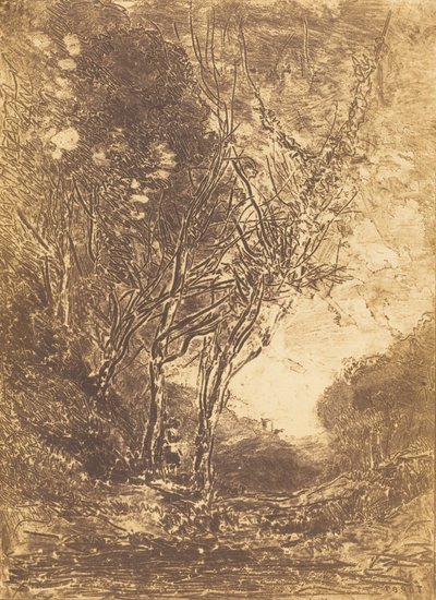 एम्बुश द एम्बुश, 1858। द्वारा जीन बैप्टिस्ट केमिली कोरोट