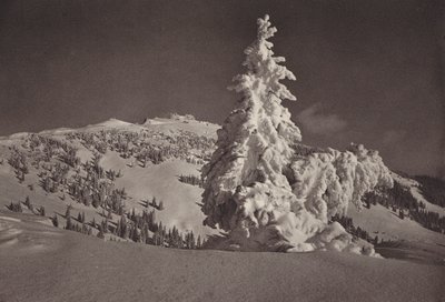 Rigi Kaltbad, Skigelande bis Rigi Kulm (b/w photo) द्वारा जीन गैबरेल्ल