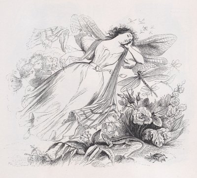 द सिल्फ़ फ्रॉम द कम्प्लीट वर्क्स ऑफ़ बैरेंजर, 1836। द्वारा जीन इग्नेस इसिडोर गेयार्ड