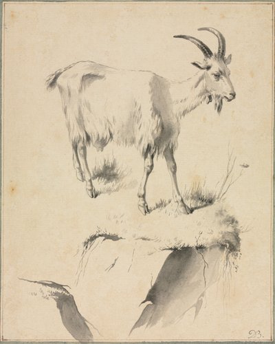 एक बकरी का अध्ययन, 1700s। द्वारा जीन जैक्स डी बोइसियू