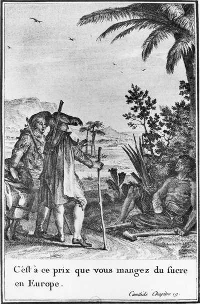 'यह इस कीमत पर है कि आप यूरोप में चीनी खाते हैं', पियरे चार्ल्स बैकॉय (1759-1829) 1787 (उत्कीर्णन) (बी / डब्ल्यू फोटो) द्वारा उकेरी गई फ्रेंकोइस वोल्टेयर (1694-1778) द्वारा 'कैंडाइड' के अध्याय 19 से चित्रण। द्वारा जीन मिशेल द यंगर (बाद) मोरो