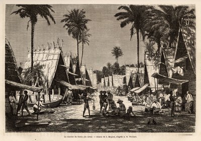 डोबो का मार्च, अरो द्वीप पर, एक बंदरगाह केंद्र, जो कई व्यापारियों और जहाज निर्माण द्वारा अनुप्राणित है, जे.मोयनेट द्वारा चित्र के बाद उकेरा गया है, जो अल्फ्रेड रसेल वालेस द्वारा 1854-1862 में मलेशियाई द्वीपसमूह की यात्रा को दर्शाता है। ), एक ब्रिटिश द्वारा जीन पियरे मोनेट