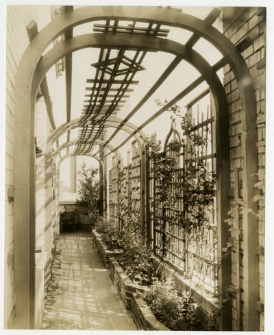श्रीमती रेजिना जैस का बैक गार्डन, c.1936-37 (जिलेटिन सिल्वर फोटो) द्वारा जेसी टार्बो बील्स