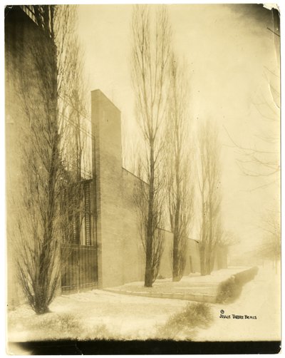 बोस्टन, यूएसए, c.1902-10 (जिलेटिन सिल्वर फोटो) द्वारा जेसी टार्बो बील्स