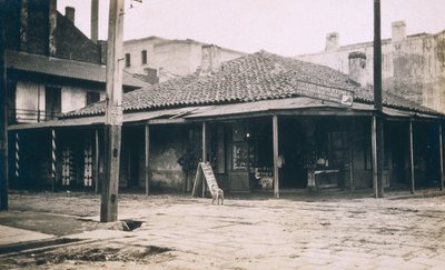 न्यू ऑरलियन्स, c.1905 द्वारा जेसी टार्बो बील्स