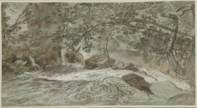 लटकती शाखाओं वाले रैपिड्स (वर्सो) द्वारा जोआचिम फ्रांज बेइच