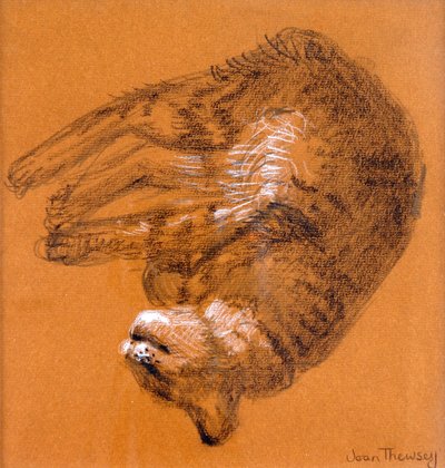स्लीपिंग टैबी कैट, 2005, (ग्रेफाइट और सफेद पेस्टल) द्वारा जोन थेवेसी