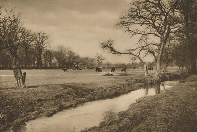 रिचमंड के रॉयल हंटिंग पार्क के माध्यम से बेवर्ली ब्रूक विंड, c1935। द्वारा जोएल