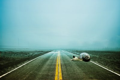  द्वारा जोहान लीलाजा