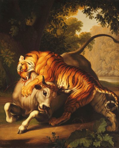 1785 में एक बुल पर हमला करने वाला टाइगर द्वारा Johan Wenzel Peter