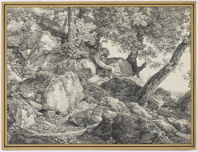 पलाज़ो चिगी, एरीसिया, 1818 के पार्क में (कागज़ पर ग्रेफाइट और काले चाक) द्वारा जोहान क्रिश्चियन रेनहार्ड्ट
