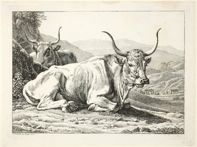  द्वारा जोहान क्रिश्चियन रेनहार्ट
