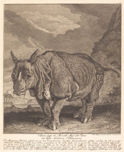 गैंडा गैंडा द्वारा जोहान एलियास रिडिंगर