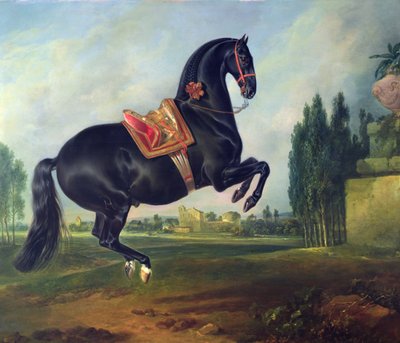कॉर्बेट का प्रदर्शन करते हुए एक काला घोड़ा द्वारा Johann Georg Hamilton
