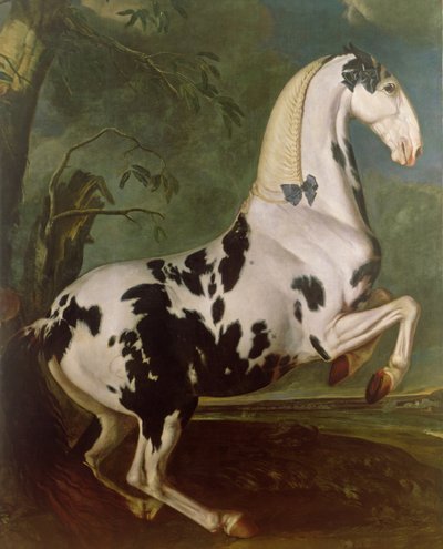 एइग्रग्यूबर स्टड में पाईबल स्टालियन द्वारा Johann Georg Hamilton