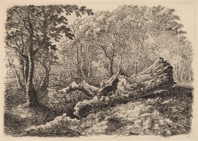 मोल्डिंग ट्री ट्रंक, 1794। द्वारा मैक्सिमिलियन जोहान जॉर्ज वॉन डिलिस