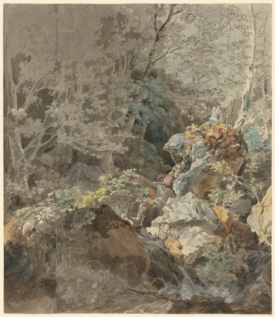 1797 में एक पहाड़ के जंगल में झरने। द्वारा मैक्सिमिलियन जोहान जॉर्ज वॉन डिलिस