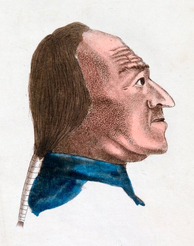 एक त्वरित स्वभाव वाले व्यक्ति की चेहरे की विशेषताएं, 1808 द्वारा जोहान कास्पर लवाटर